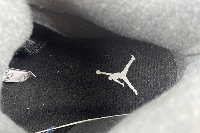 AIR JORDAN 5 SE "GEORGETOWN"