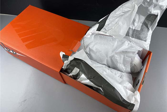 NIKE LDV WAFFLE SACAI 'WHITE NYLON'