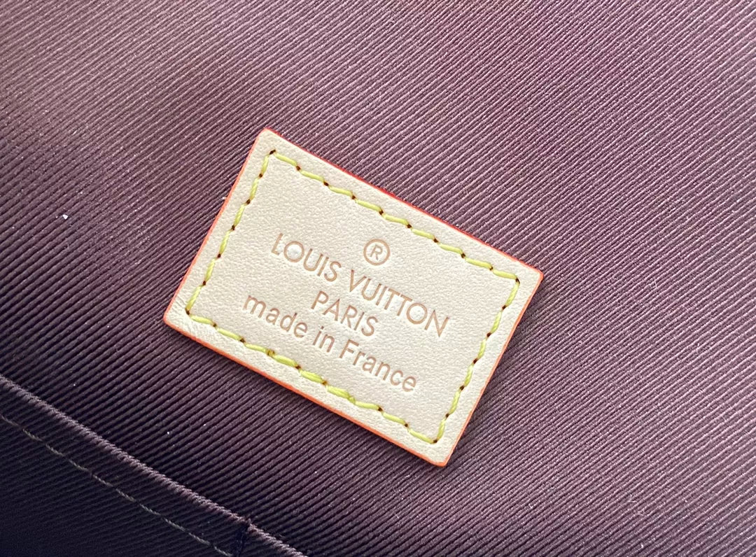 LOUIS VUITTON 28.0X 20.0X 10.0 CM CLUNY BB