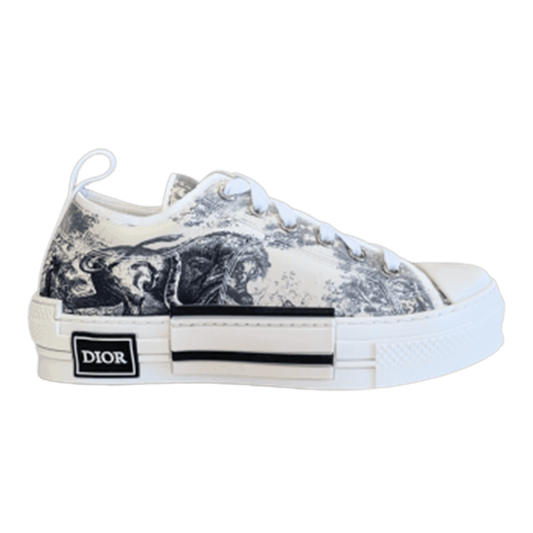 DIOR B23 LOW TOP SNEAKER