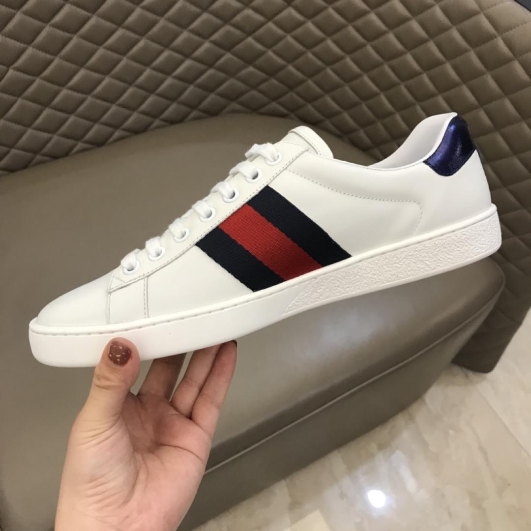 GUCCI ACE NEW DOG