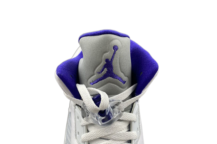 AIR JORDAN 5 "DARK CONCORD"