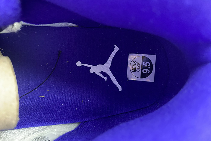 AIR JORDAN 5 "DARK CONCORD"
