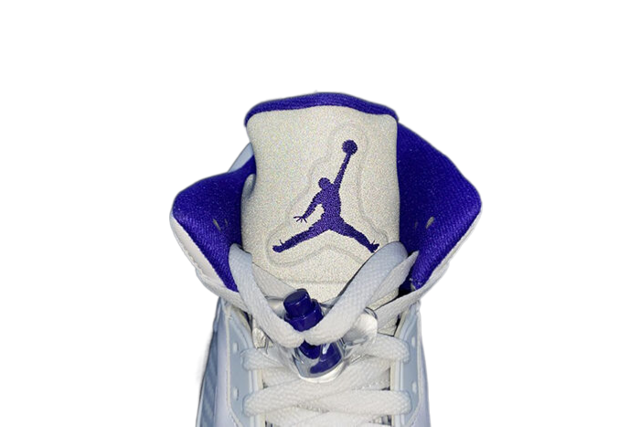 AIR JORDAN 5 "DARK CONCORD"