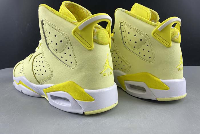 AIR JORDAN 6 “FLORAL” (GS)