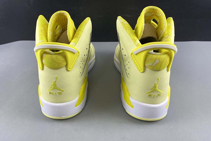 AIR JORDAN 6 “FLORAL” (GS)