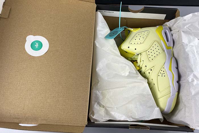 AIR JORDAN 6 “FLORAL” (GS)