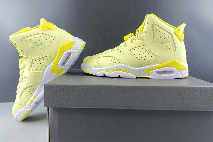 AIR JORDAN 6 “FLORAL” (GS)