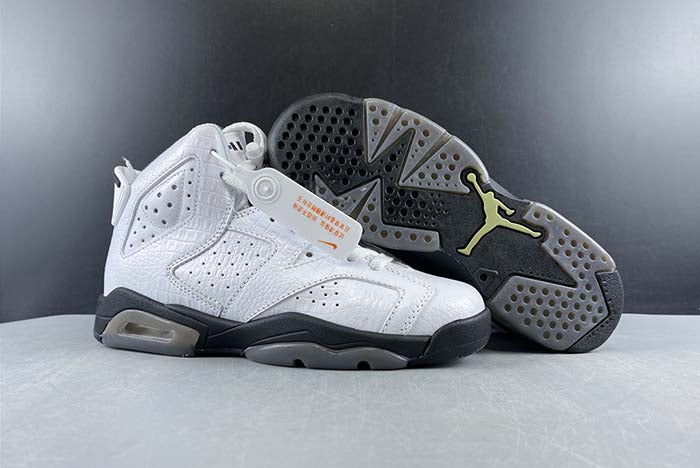 AIR JORDAN 6 “ALLIGATOR” (GS)