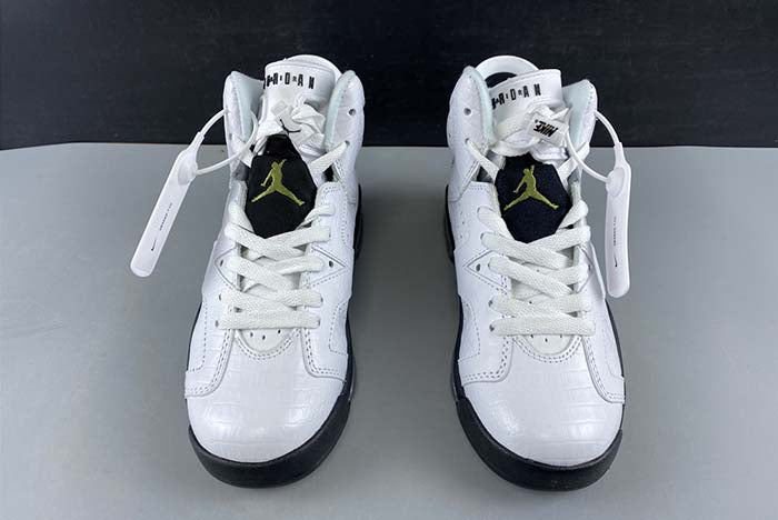 AIR JORDAN 6 “ALLIGATOR” (GS)