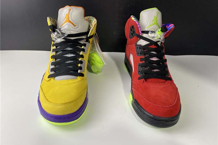 AIR JORDAN 5 “WHAT THE"