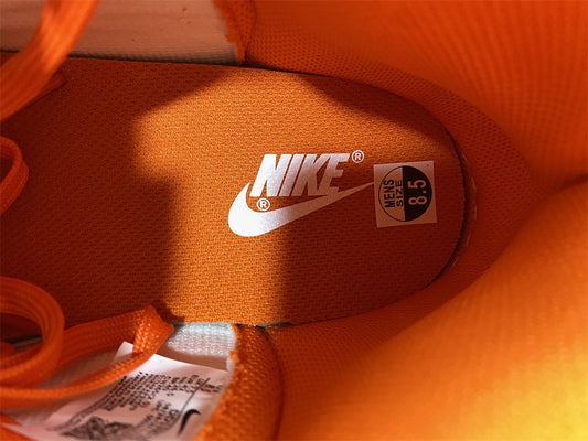 NIKE DUNK HIGH SYRACUSE