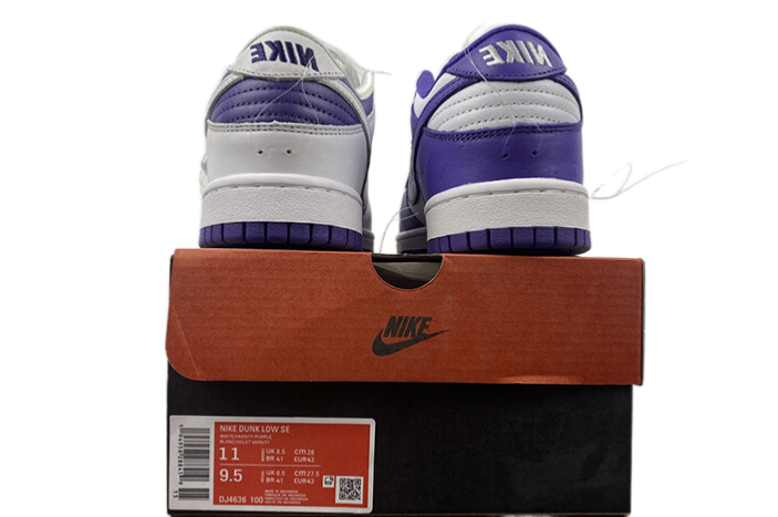 NIKE DUNK LOW "FLIP THE OLD SCHOOL"