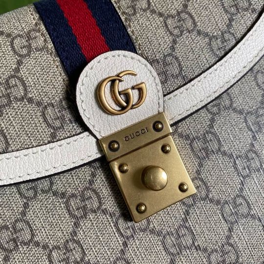LOUIS VUITTON  25*17.5*7CM GG ORPHIDIA SERIES, WHITE