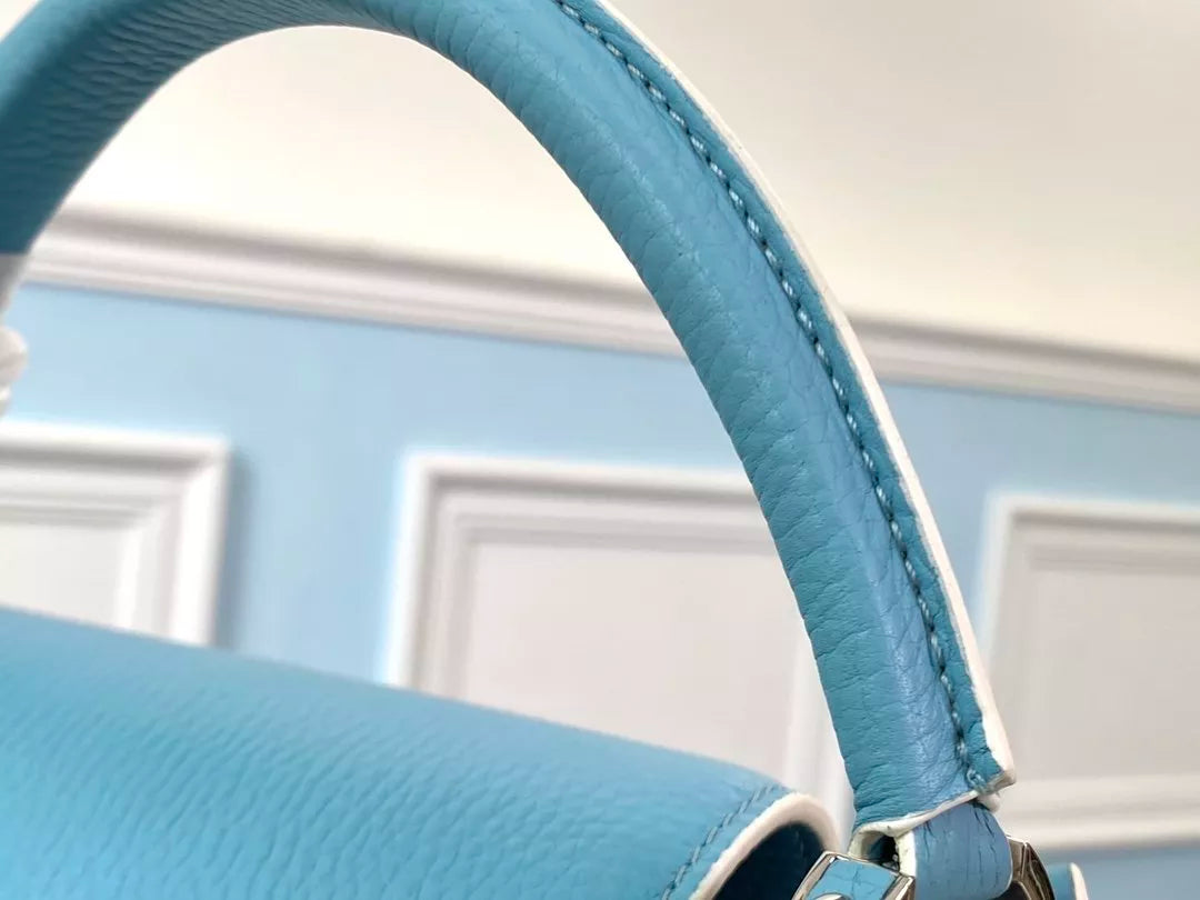 LOUIS VUITTON 27/31 CAPUCINES HANDBAG