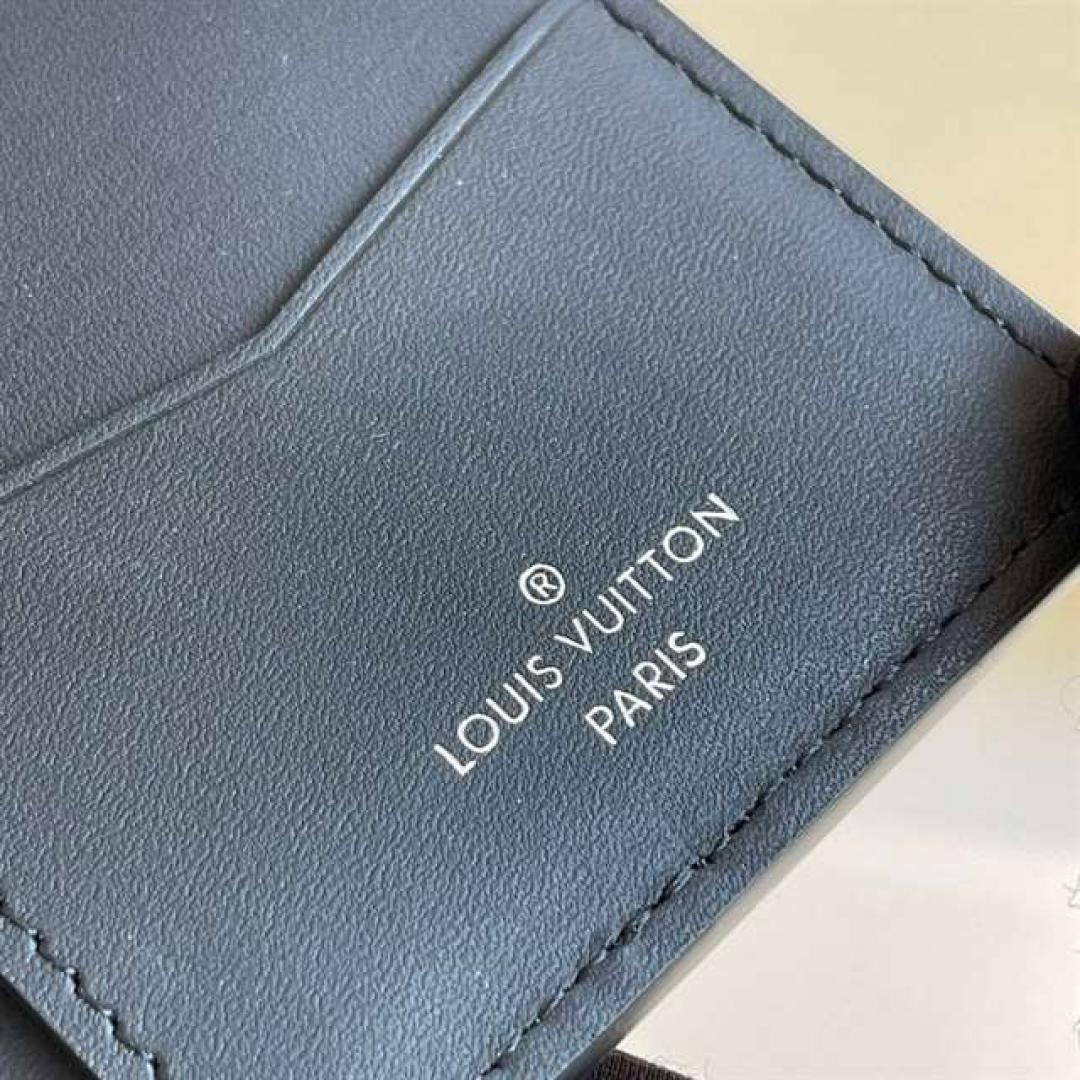 LOUIS VUITTON POCKET ORGANIZER TAURILLON SHADOW LEATHER