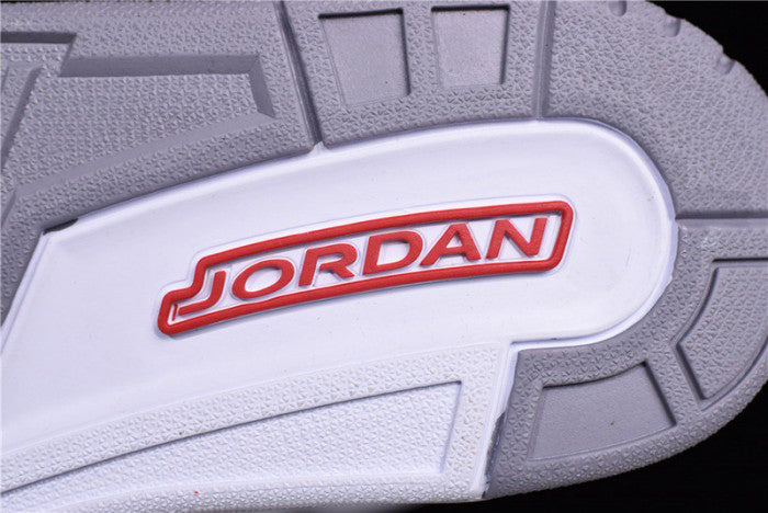 AIR JORDAN 3 RETRO "HALL OF FAME GS"