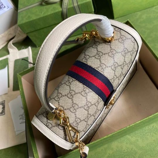 LOUIS VUITTON  25*17.5*7CM GG ORPHIDIA SERIES, WHITE