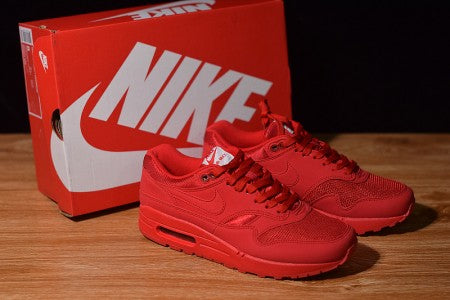 NIKE AIR MAX 1 "TONAL RED BLUE"