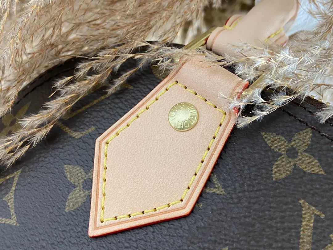 LOUIS VUITTON 25×19×12CM ALMA BB