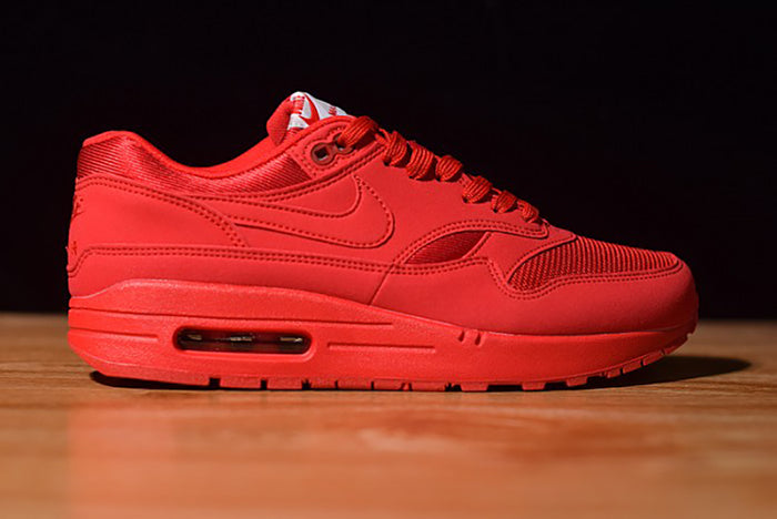 NIKE AIR MAX 1 "TONAL RED BLUE"