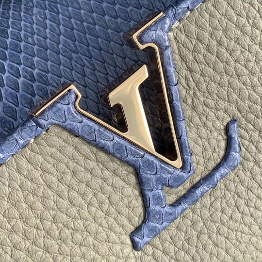 LOUIS VUITTON CAPUCINES BB BAG