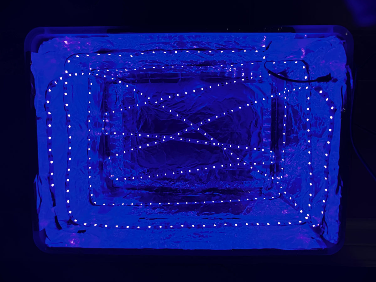 UV Lightbox