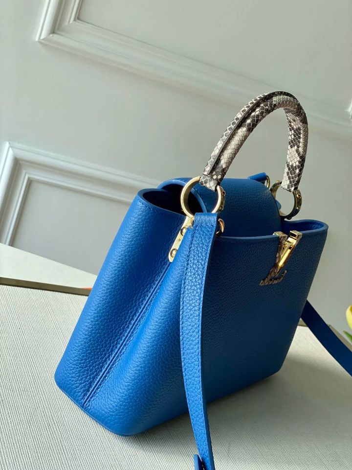 LOUIS VUITTON CAPUCINES BB BAG