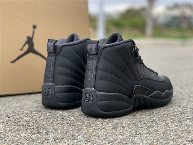 AIR JORDAN 12 "WINTERIZED BLACK ANTHRACITE"