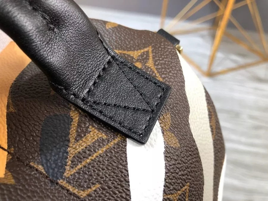LOUIS VUITTON  17.0 X 22.0 X 10.0 Cm LV LOL PALM SPRINGS