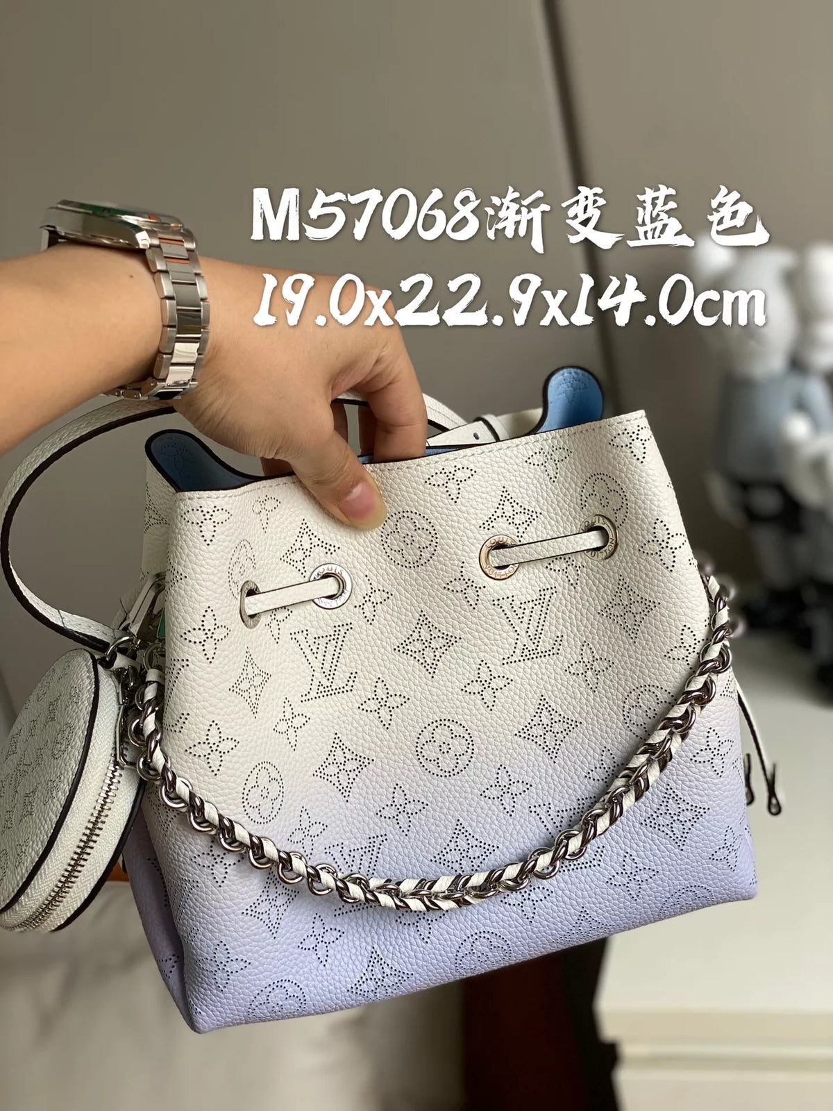 LOUIS VUITTON BELLA MURIA BAG