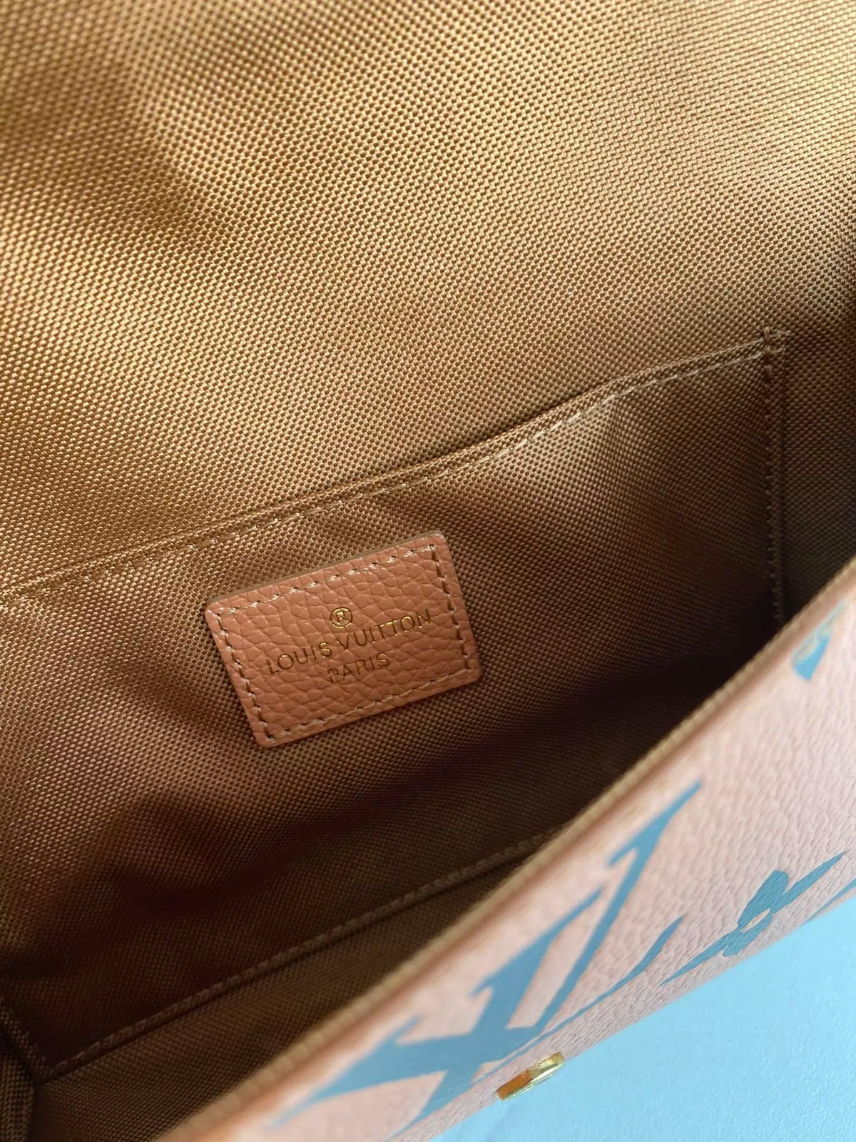 LOUIS VUITTON 21.0 X 12.0 X 3.0CM CRAFTY POCHETTE FÉLICIE BAG