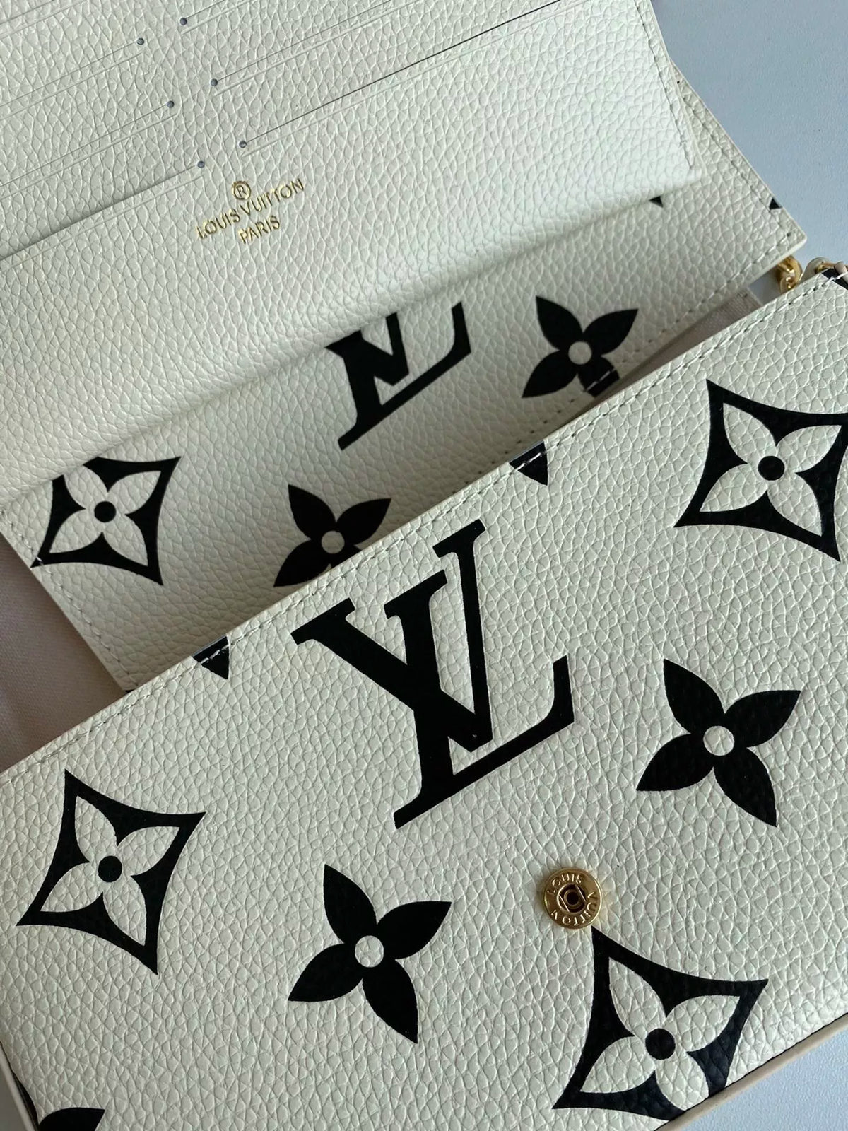 LOUIS VUITTON 21.0 X 12.0 X 3.0CM CRAFTY POCHETTE FÉLICIE BAG