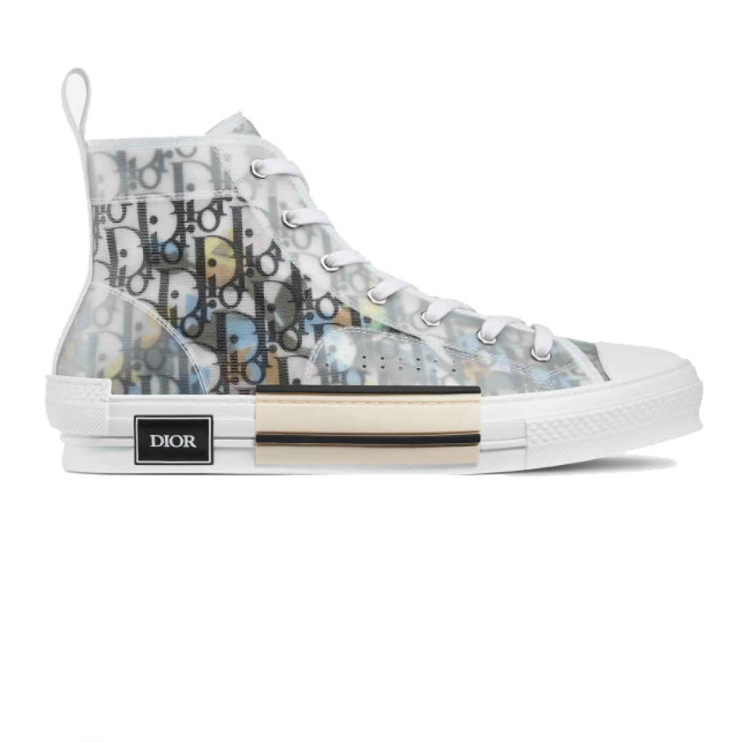 DIOR B23 HIGH TOP ALEX FOXTON OBLIQUE