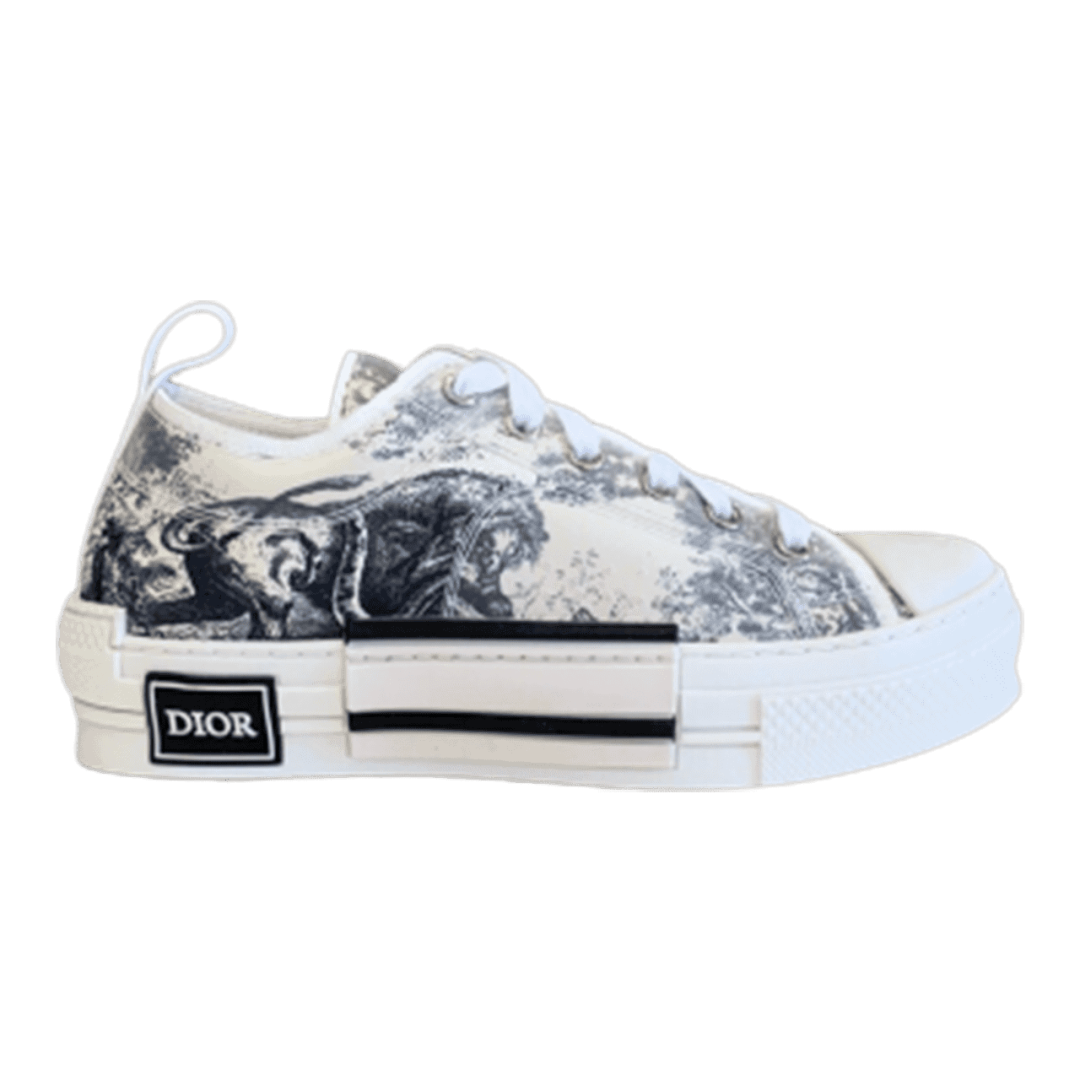 DIOR B23 LOW TOP SNEAKER
