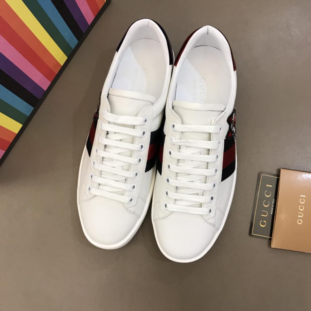 GUCCI ACE NEW DOG
