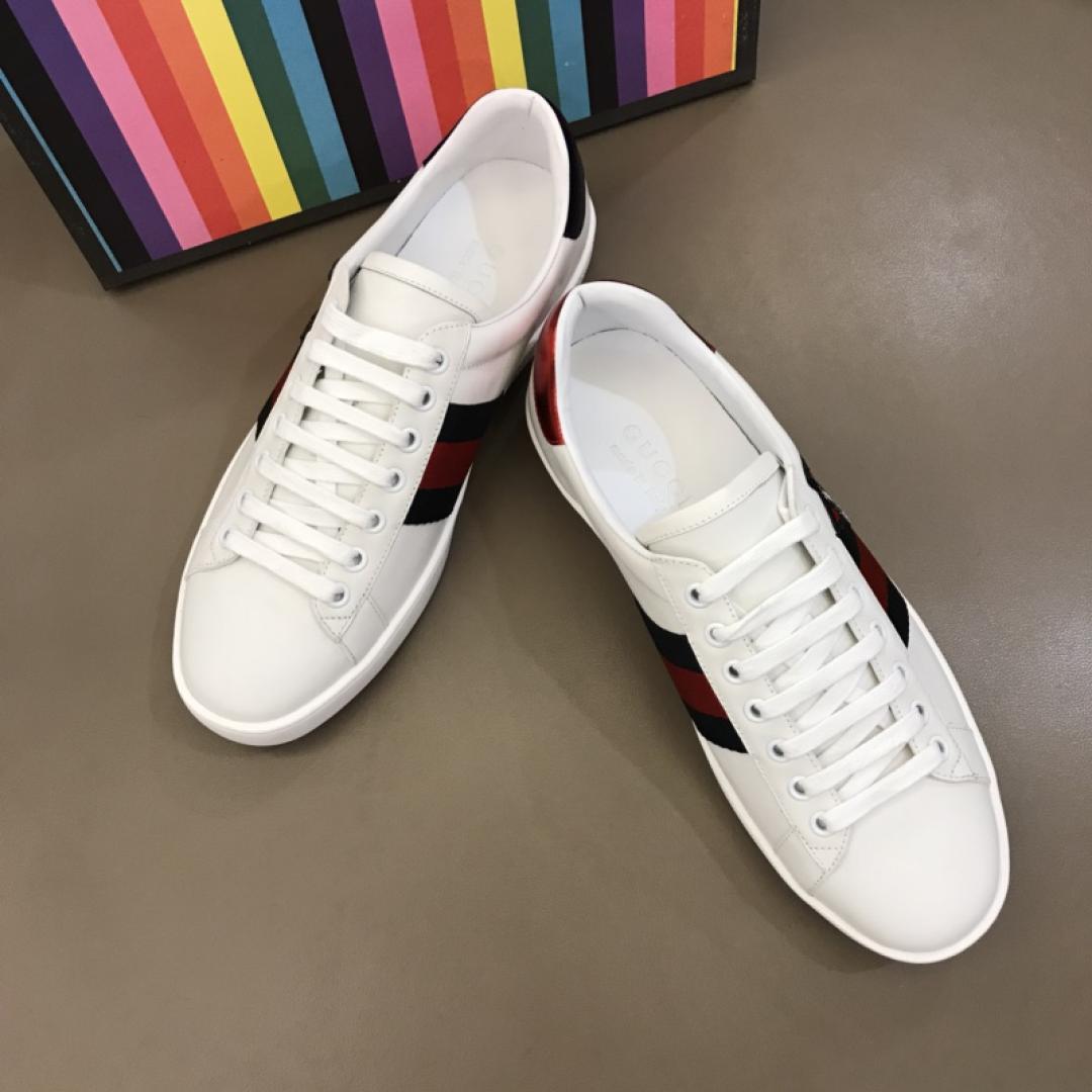 GUCCI ACE NEW DOG